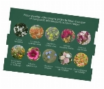 Boîte à semer – Fleurs & bouquets