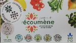 Carotte Red Cored Chantenay Semence
