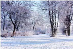 Suivre le rythme de la saison d'hiver