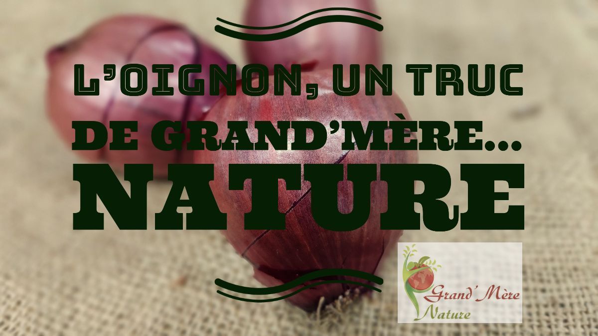 L'oignon! Un truc de Grand-Mère
