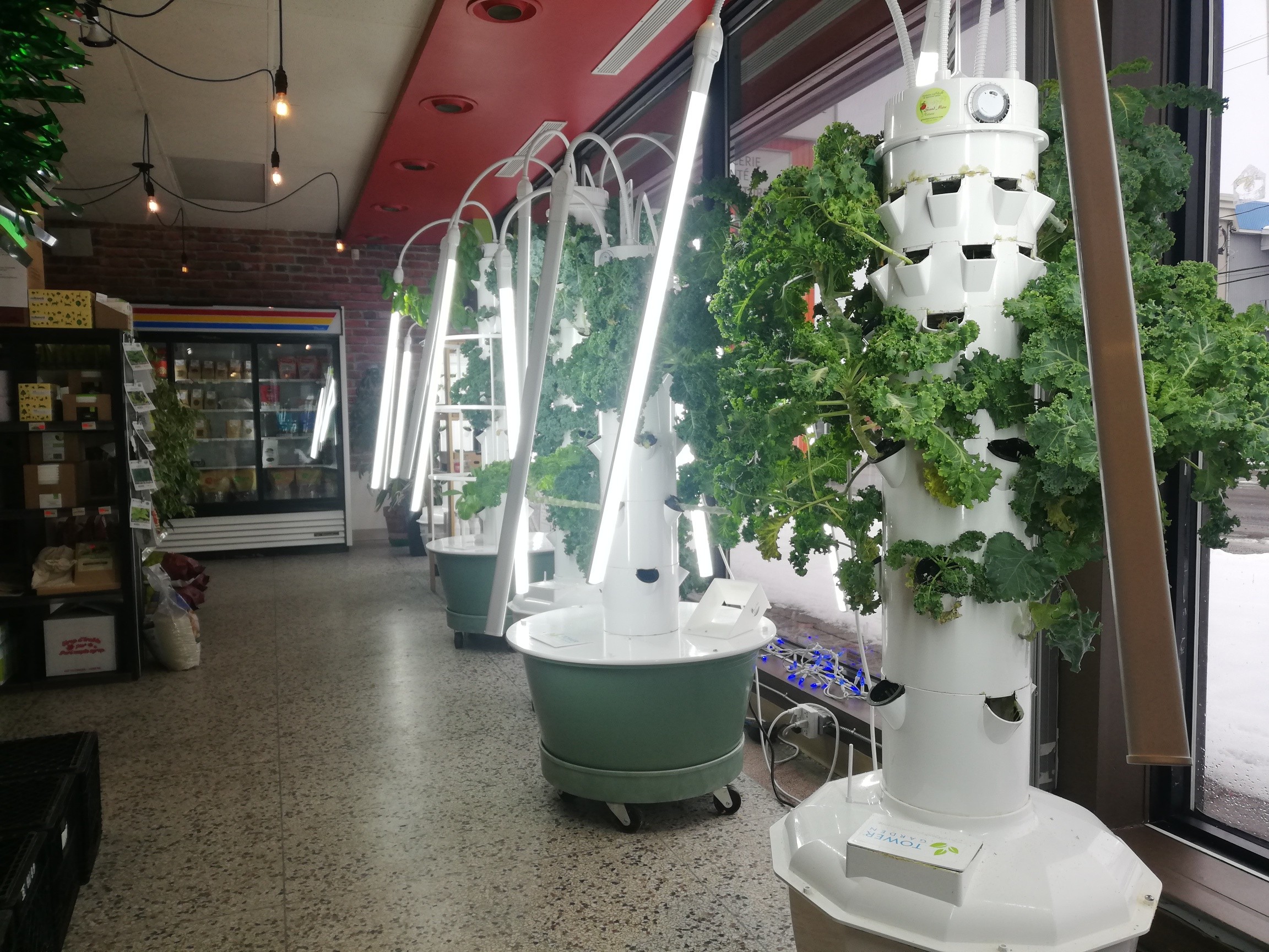 Salle de montre tour jardin québec